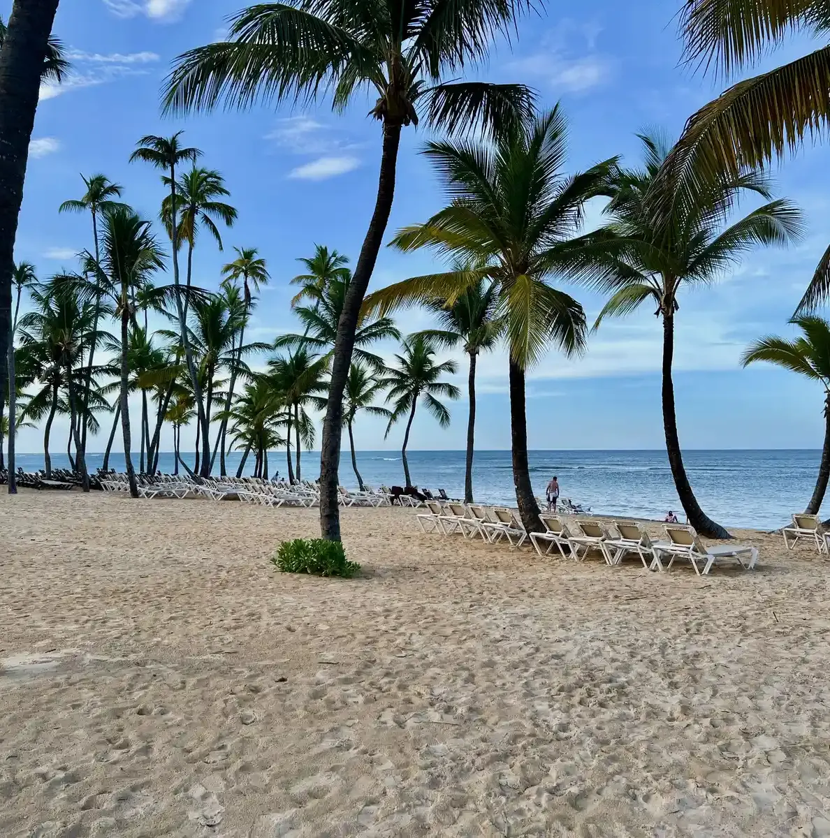 Beach view