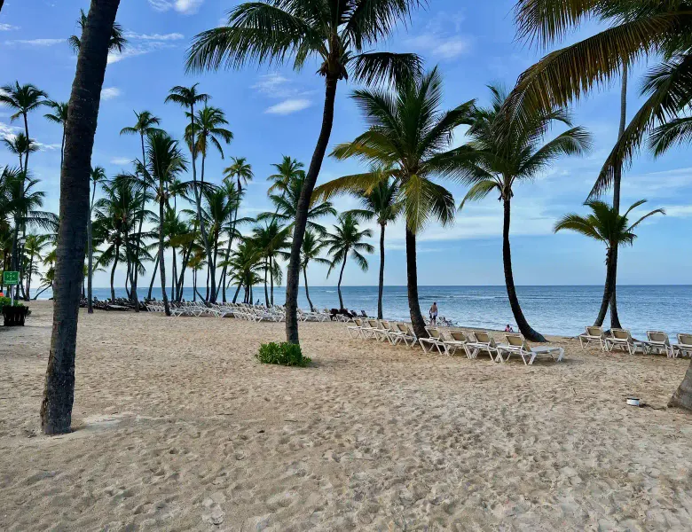 Beach view