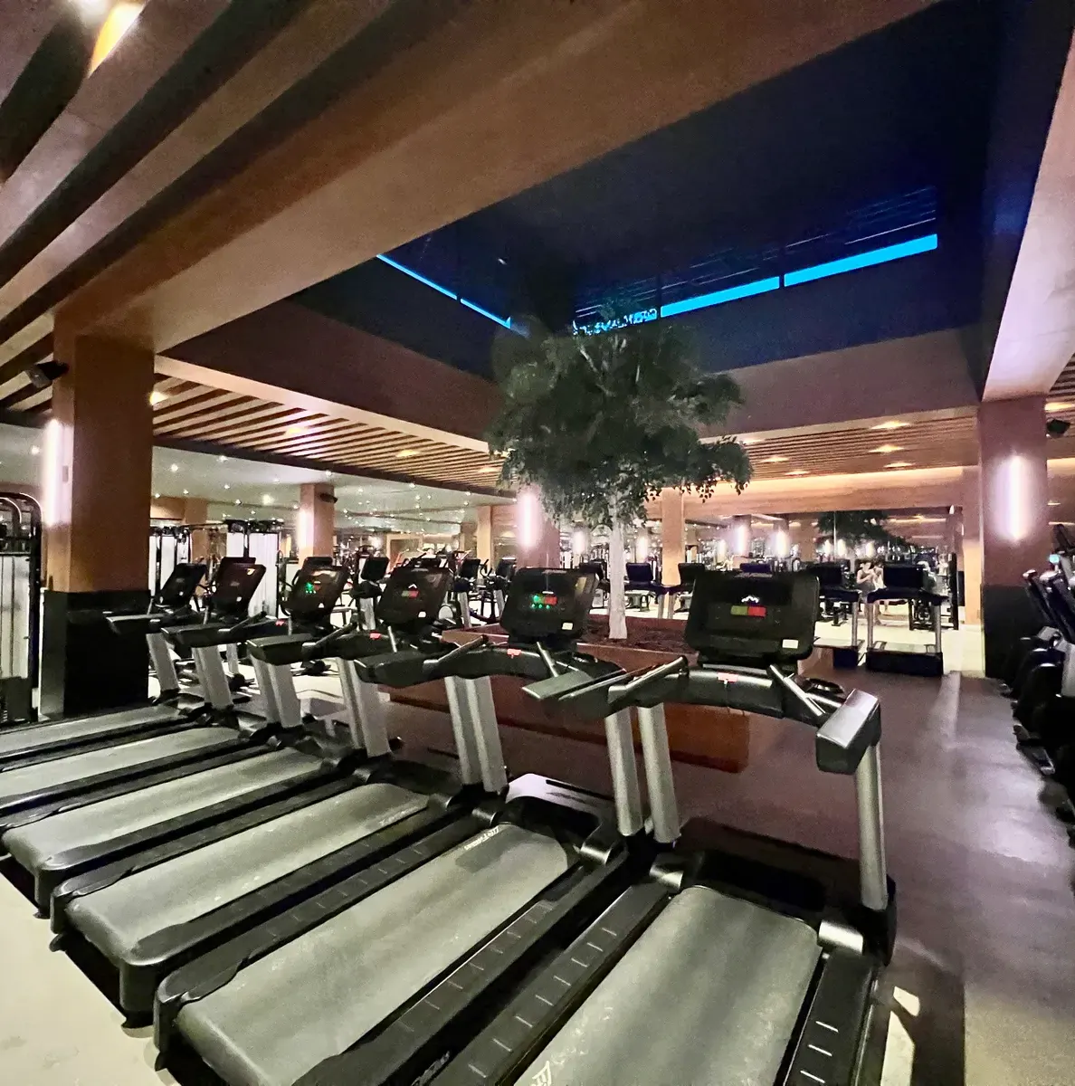 Lopesan Bávaro Gym