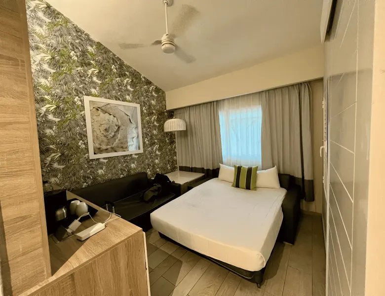 Sofa bed and sitting area in the room