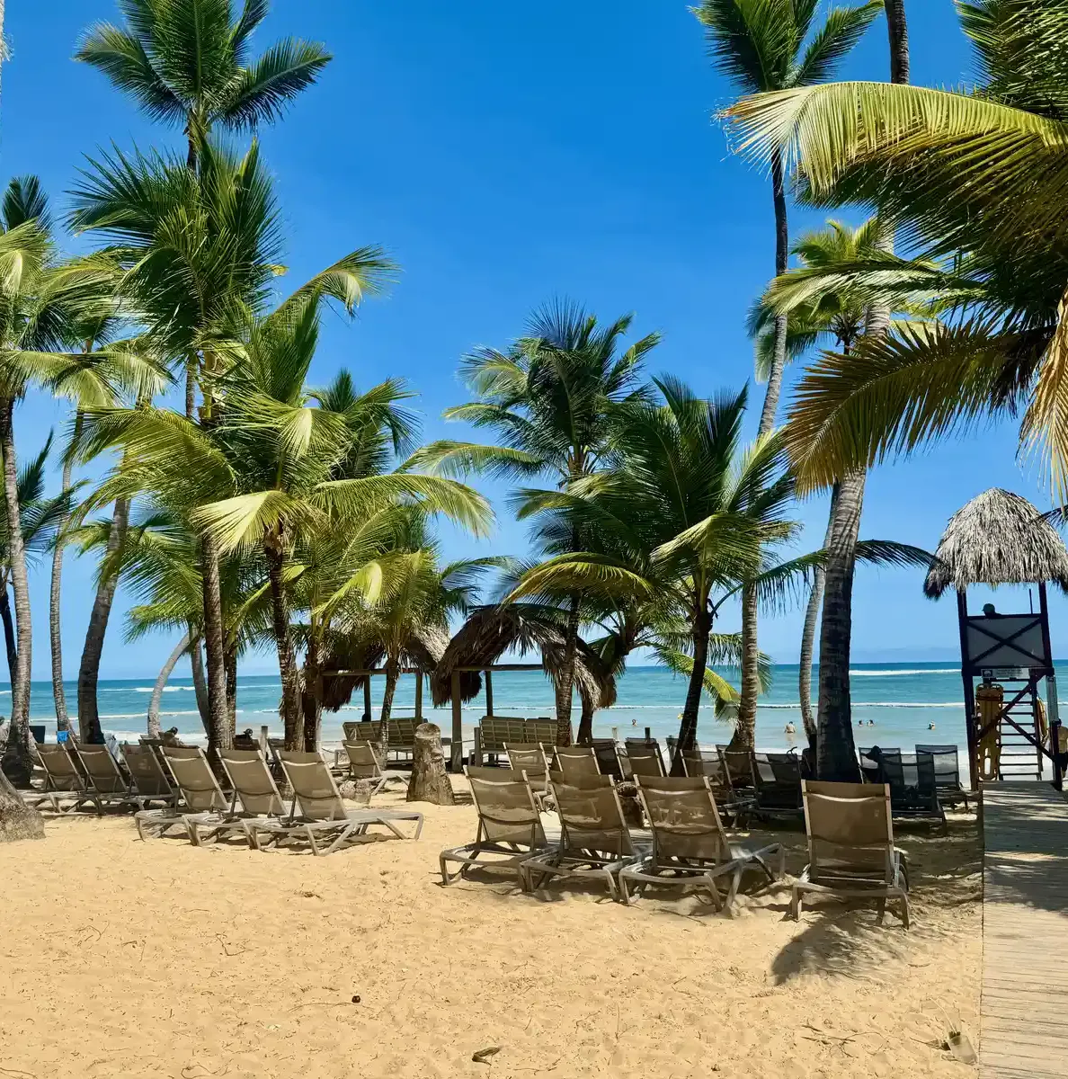 Beach relaxation area