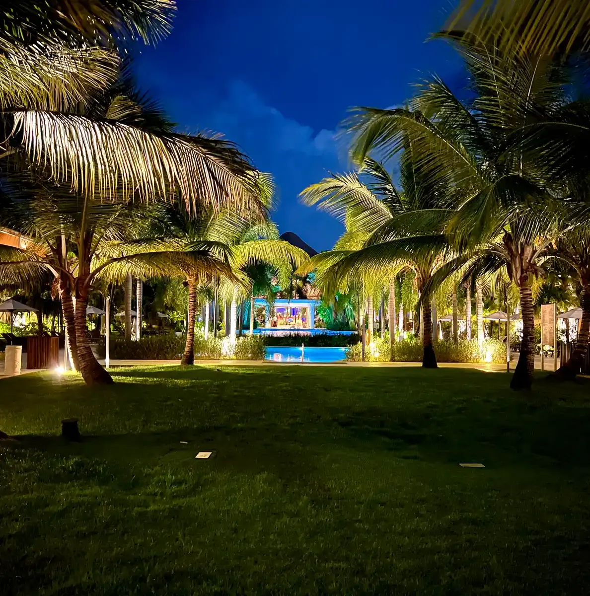 Dreams Royal Punta Cana - gardens at night