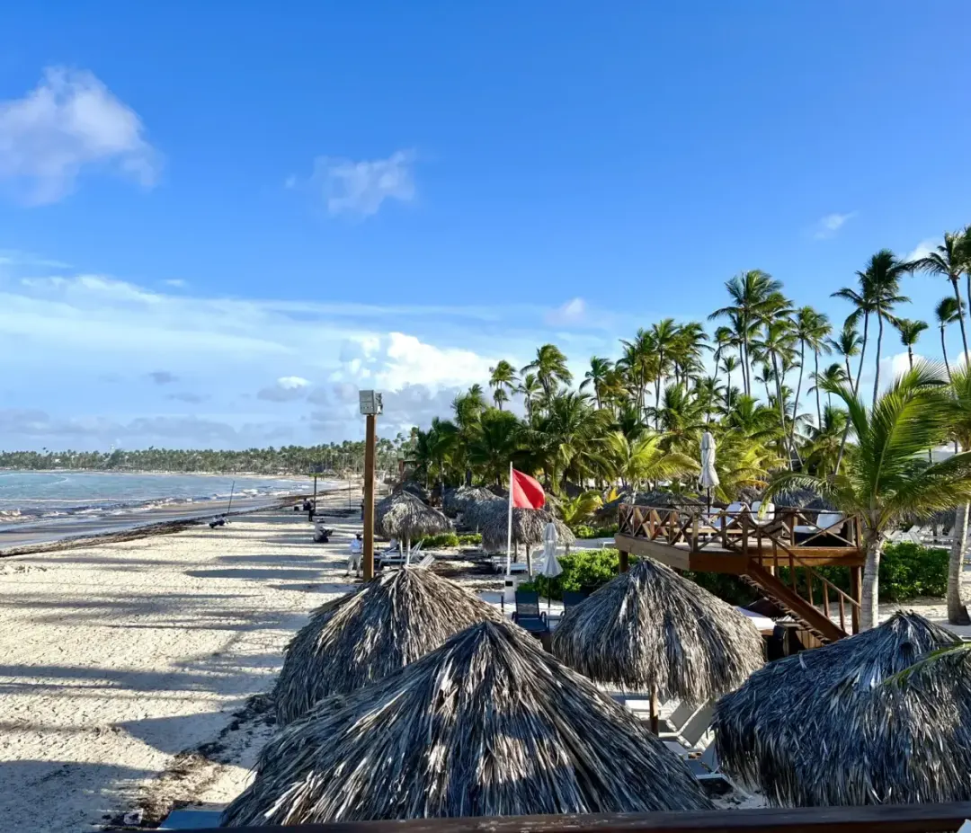 The beach at Dreams Royal Beach Punta Cana, palm-thatch parasols along the sand.