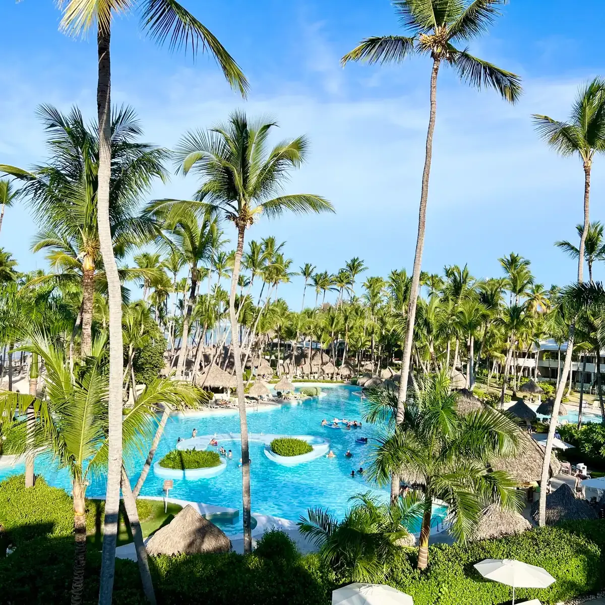 The main pool at Meliá Punta Cana Beach, empty at eight in the morning.