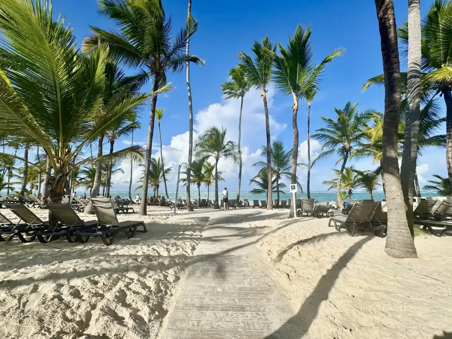 Occidental Punta Cana — beach