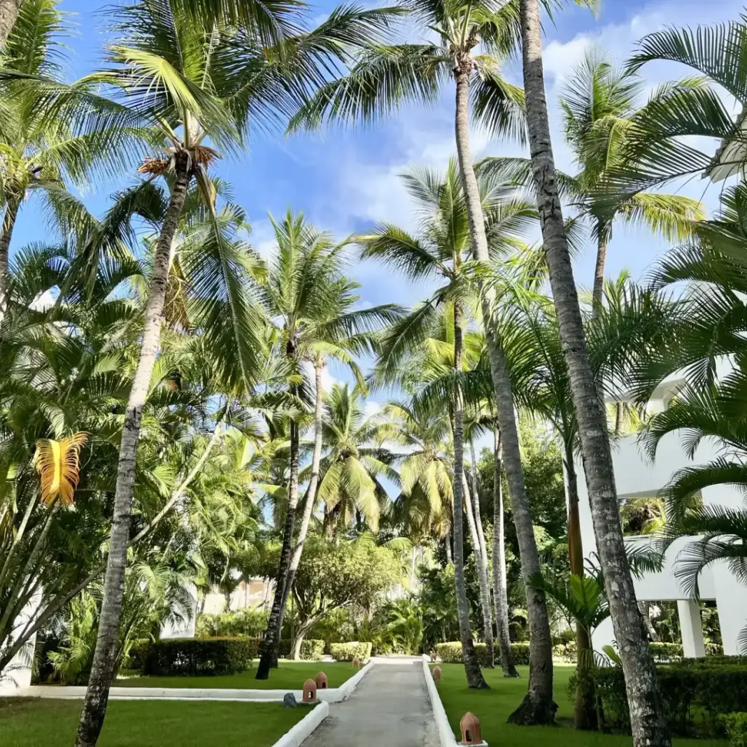 Occidental Punta Cana — grounds