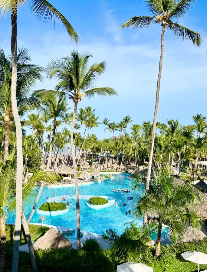 The pools and the palms