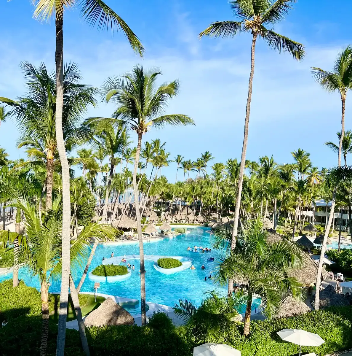 The pools and the palms