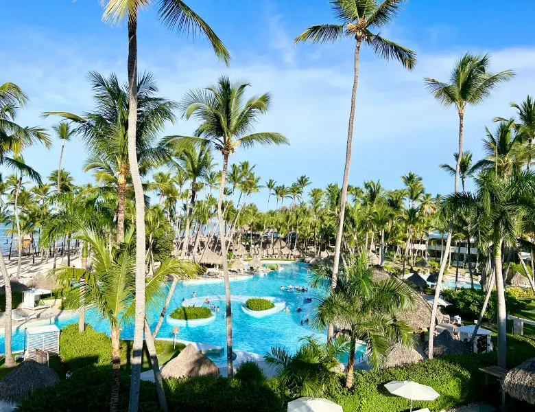 The pools and the palms
