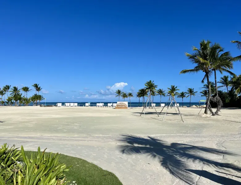 sandy beach with palm trees, lounge chairs, and ocean in background