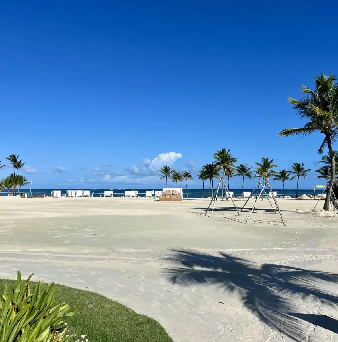 sandy beach with palm trees, lounge chairs, and ocean in background