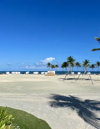 sandy beach with palm trees, lounge chairs, and ocean in background