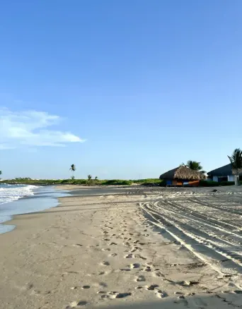 sandy beach with ocean waves, thatched hut, gazebo, palm trees