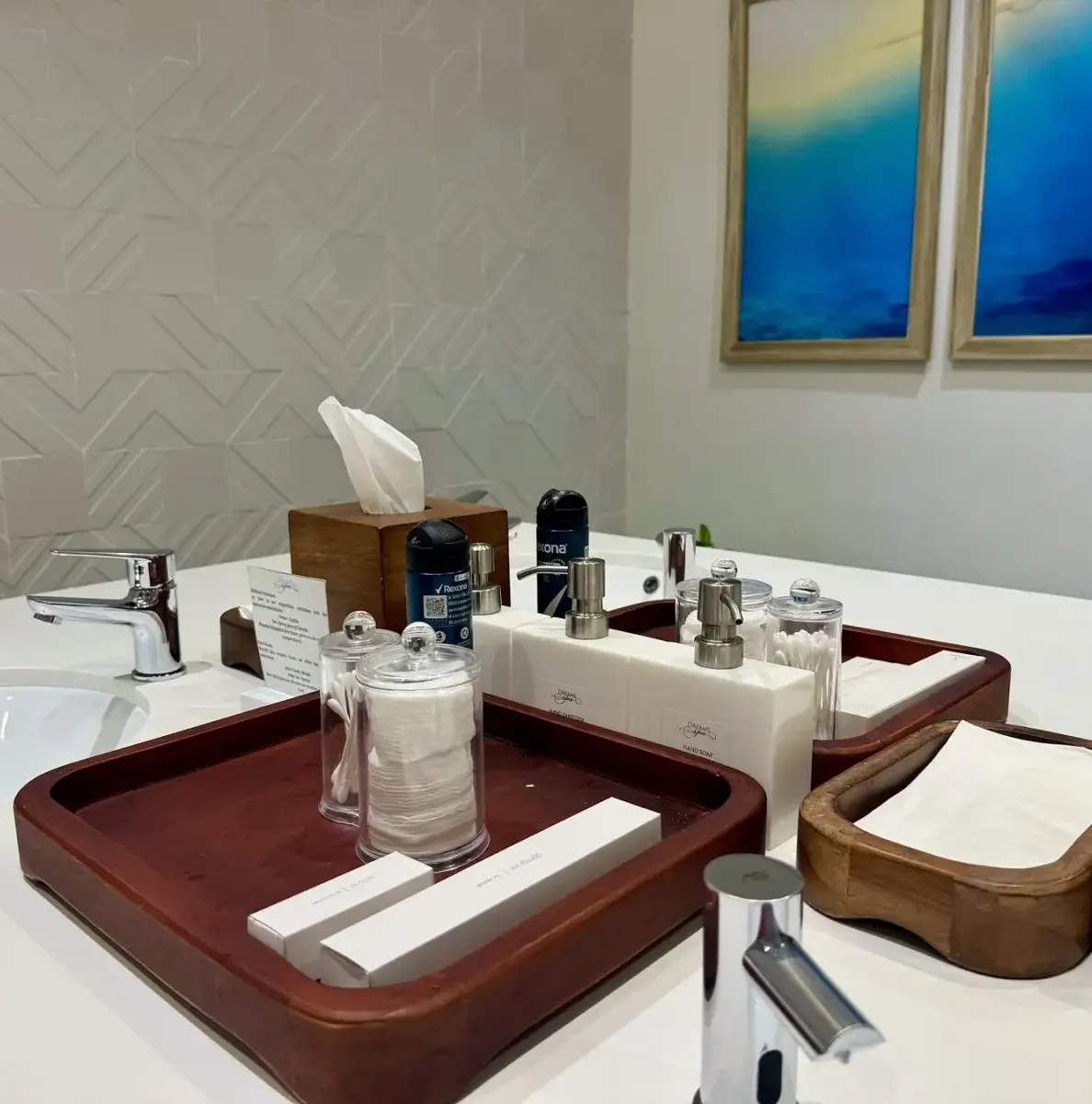 bathroom counter with sinks, toiletries, and framed artwork