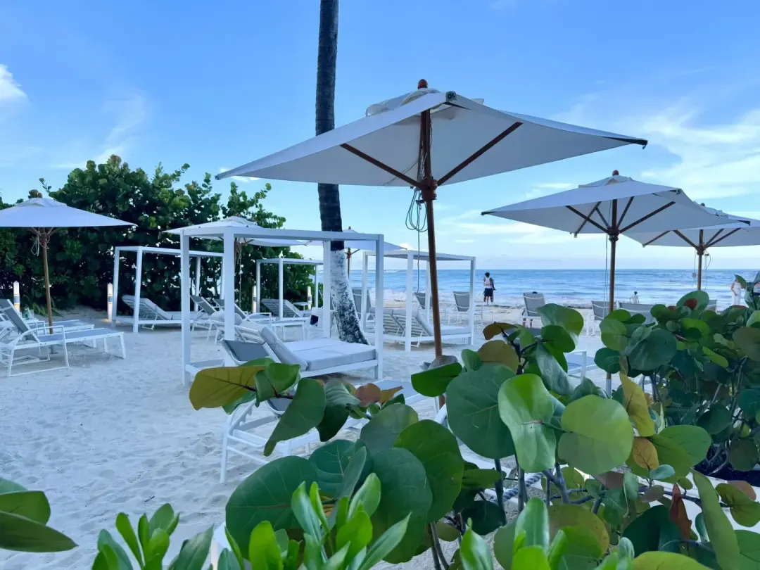 The beach at whala!bávaro, a parasol and two loungers on the sand.